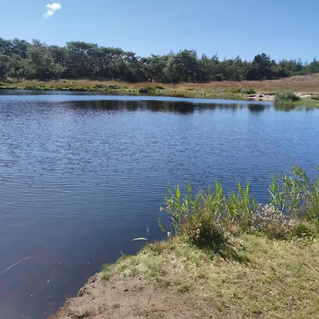 5 Star In Romo Kongsmark