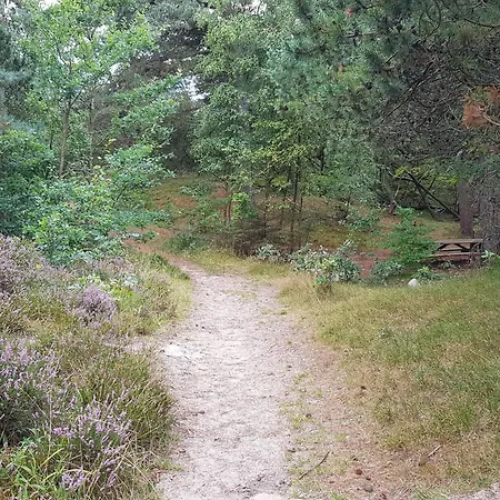 Casa de Férias 5 Star In Romo *