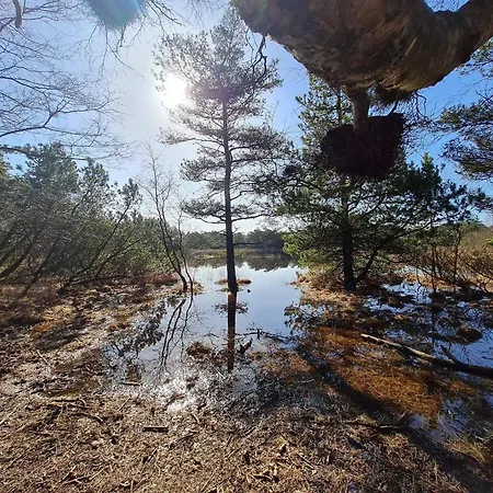 5 Star In Romo Casa de Férias