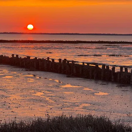 5 Star In Romo Casa de Férias Kongsmark