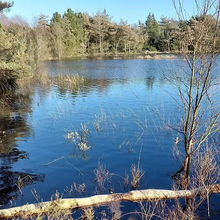 5 Star In Romo Casa de Férias